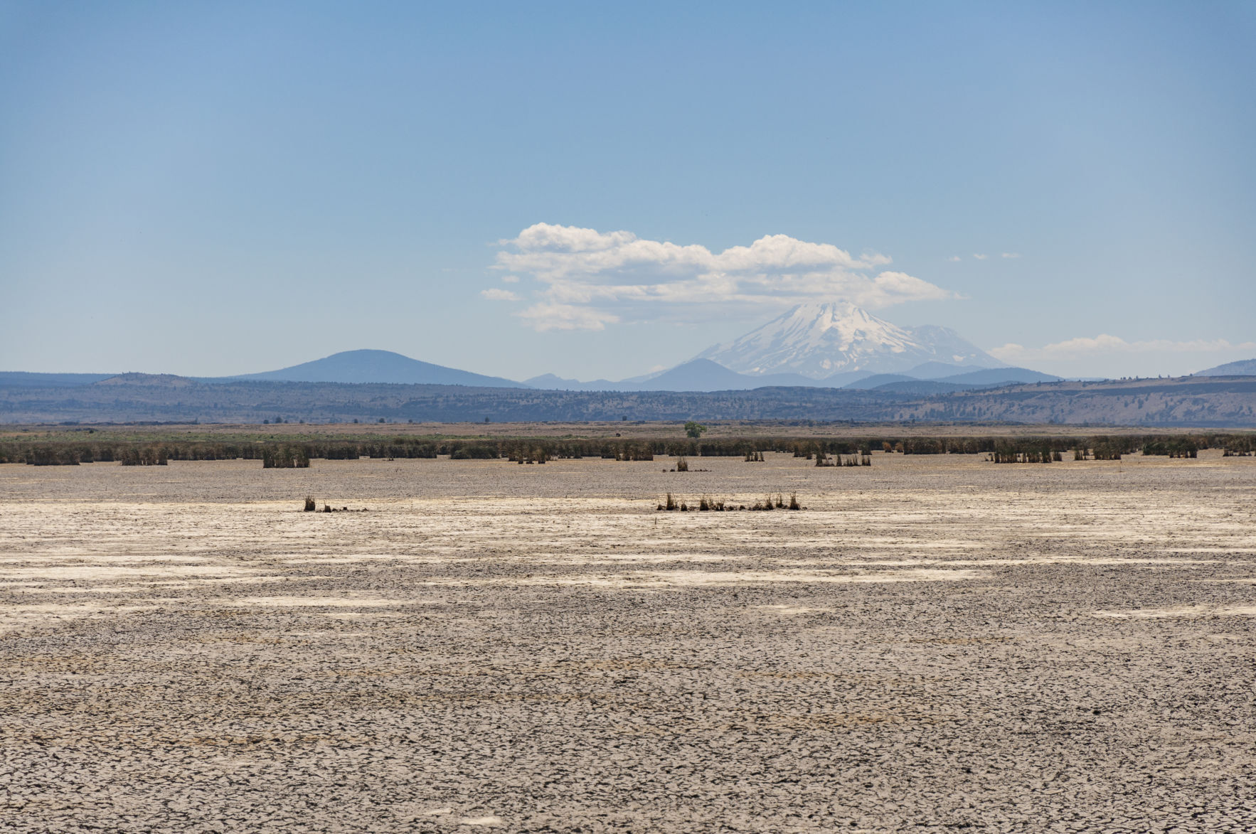 Tulelake wetlands